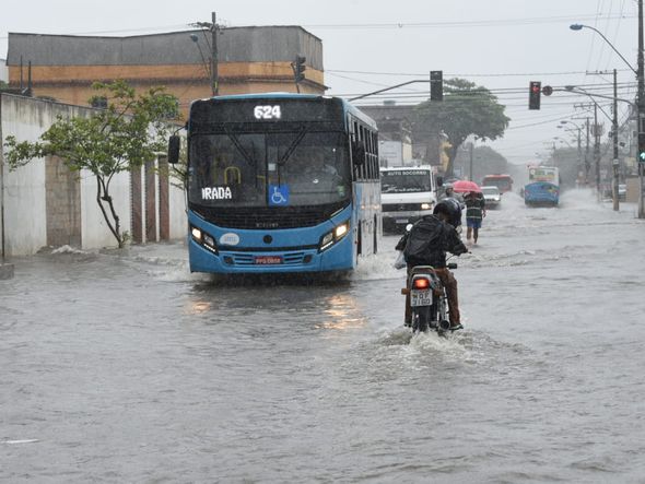 Cobilândia por Ricardo Medeiro