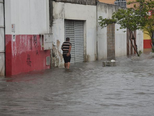 Cobilândia por Ricardo Medeiro