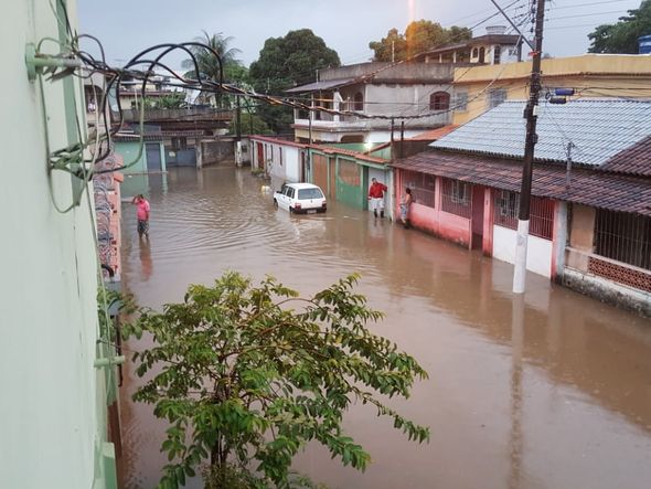 Grande Cobilândia por Internauta