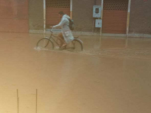 Grande Cobilândia por Internauta