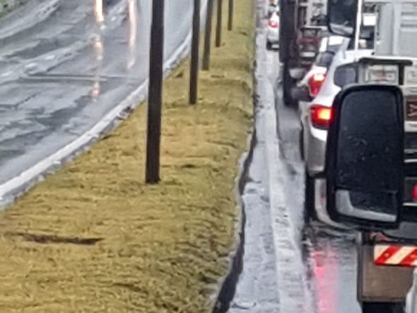 Serra por Internauta