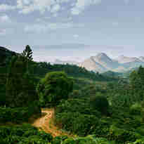 Imagem - "Fórmula perfeita" do café é descoberta nas montanhas capixabas