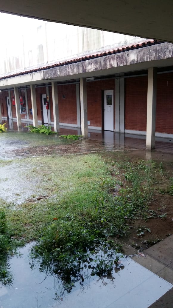 Ifes Serra por Internauta