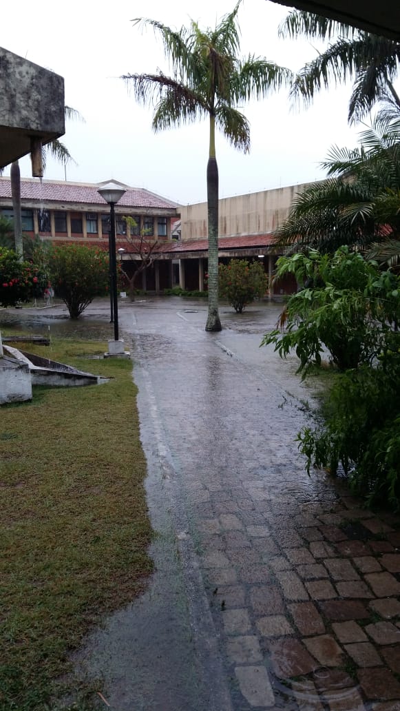 Ifes Serra por Internauta