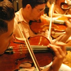 Áreas de atuação abrangem diversos núcleos musicais, como Canto (Música Popular), Madeiras (Flauta Transversal, Clarineta e Oboé), Metais (Trompete e Tuba), Cordas Friccionadas (Viola e Violino) e Pedagogia da Performance