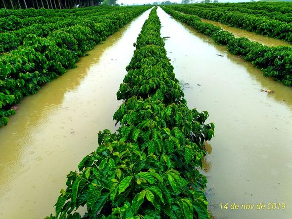 Piúma recebeu a maior quantidade de chuva do Estado nesta quinta-feira por Daniel Polonini