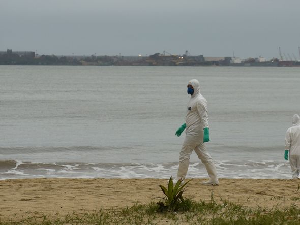 Data: 16/11/2019 - ES - Vitória - Militares da Marinha fazem busca na Praia de Camburi  por fragmentos de óleo que atingem a costa brasileira - Editoria: Cidades - Foto: Vitor Jubini - GZ por Vitor Jubini