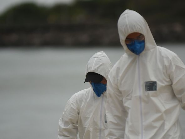 Data: 16/11/2019 - ES - Vitória - Militares da Marinha fazem busca na Praia de Camburi  por fragmentos de óleo que atingem a costa brasileira - Editoria: Cidades - Foto: Vitor Jubini - GZ por Vitor Jubini