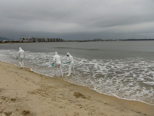 Data: 16/11/2019 - ES - Vitória - Militares da Marinha fazem busca na Praia de Camburi  por fragmentos de óleo que atingem a costa brasileira - Editoria: Cidades - Foto: Vitor Jubini - GZ por Vitor Jubini