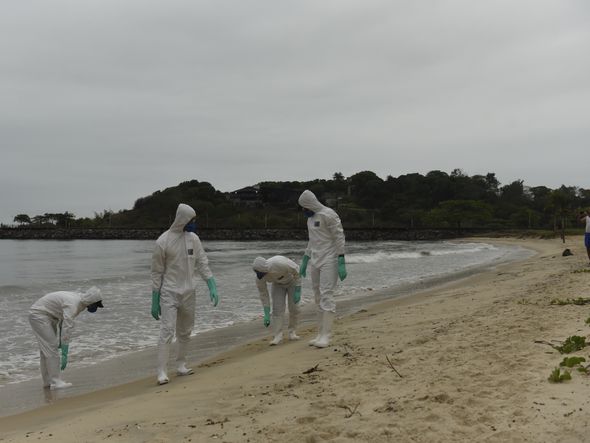 Data: 16/11/2019 - ES - Vitória - Militares da Marinha fazem busca na Praia de Camburi  por fragmentos de óleo que atingem a costa brasileira - Editoria: Cidades - Foto: Vitor Jubini - GZ por Vitor Jubini