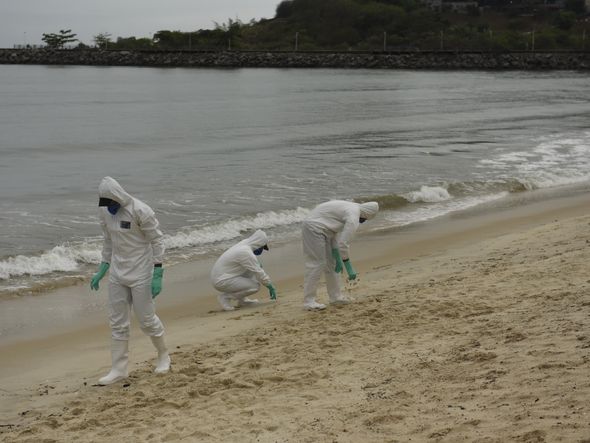 Data: 16/11/2019 - ES - Vitória - Militares da Marinha fazem busca na Praia de Camburi  por fragmentos de óleo que atingem a costa brasileira - Editoria: Cidades - Foto: Vitor Jubini - GZ por Vitor Jubini