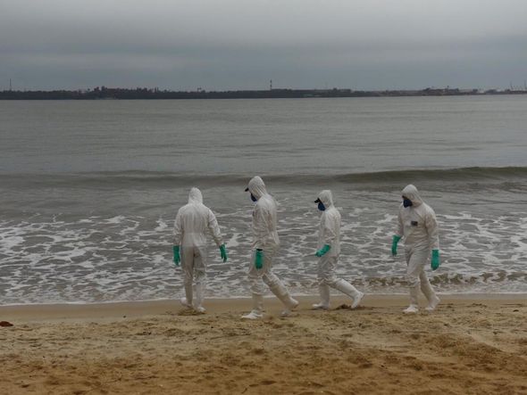 Militares da Marinha em vistoria à procura de óleo em praia de Camburi por Vitor Jubini