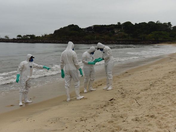 Militares da Marinha em vistoria à procura de óleo em praia de Camburi por Vitor Jubini