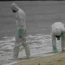 Imagem - Óleo das praias causa queimaduras e até problemas respiratórios