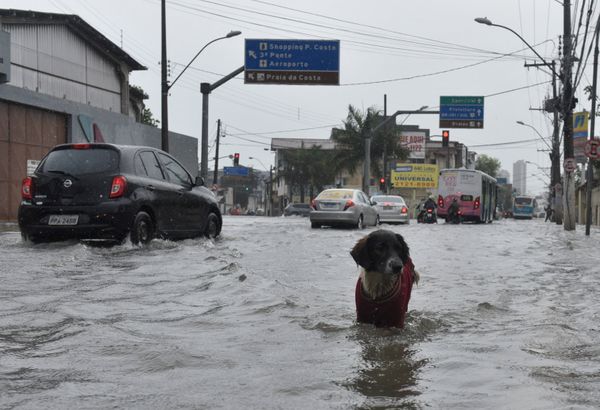Data: 22/11/2019 - ES - Vila Velha - Alagamento na rua Luciano das Neves, Centro. Chuva na Grande Vitória - Editoria: Cidades - Foto: Vitor Jubini - GZ