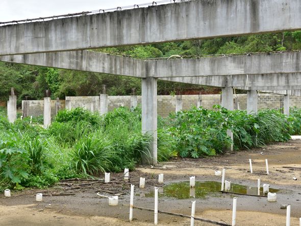 Data: 25/11/2019 - ES - Vitória - Esqueleto do que seria uma creche, em Tabuazeiro, Vitória - Obras Federais paradas no ES - Editoria: Economia - Foto: Fernando Madeira - GZ por Fernando Madeira