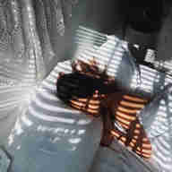 Imagem - Sonhos são recorrentes em períodos traumáticos