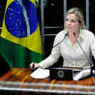 Imagem - Gleisi Hoffmann compara FHC a Lobão e diz que Lula precisa ser entendido