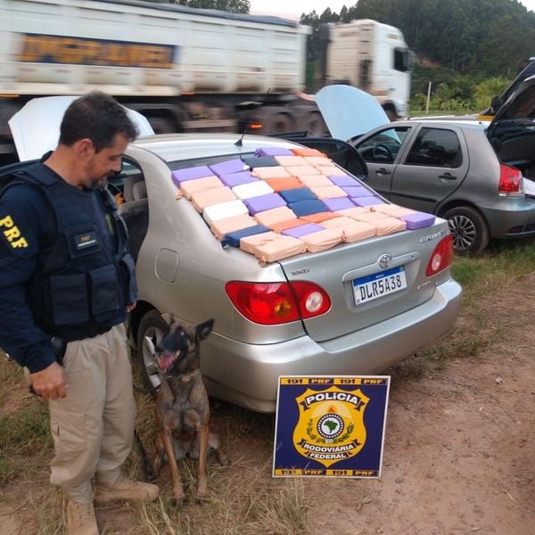 Cadela da PRF morre do coração após barulho de fogos em jogo do Flamengo. Crédito: Polícia Rodoviária Federal