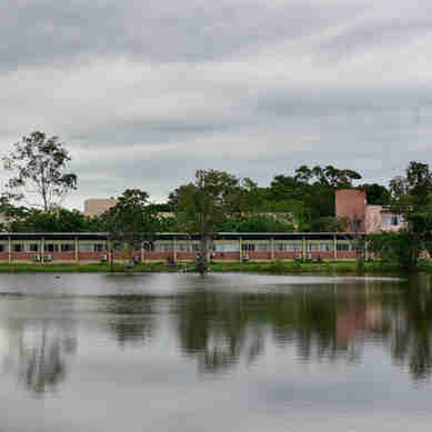 Imagem - Ufes em Goiabeiras inicia obra de saneamento após anos de problemas com esgoto