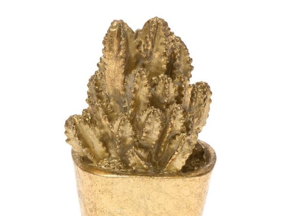 ÁGUA DE COCO| vaso mandacaru dourado de 59 por 35,99 por Divulgação