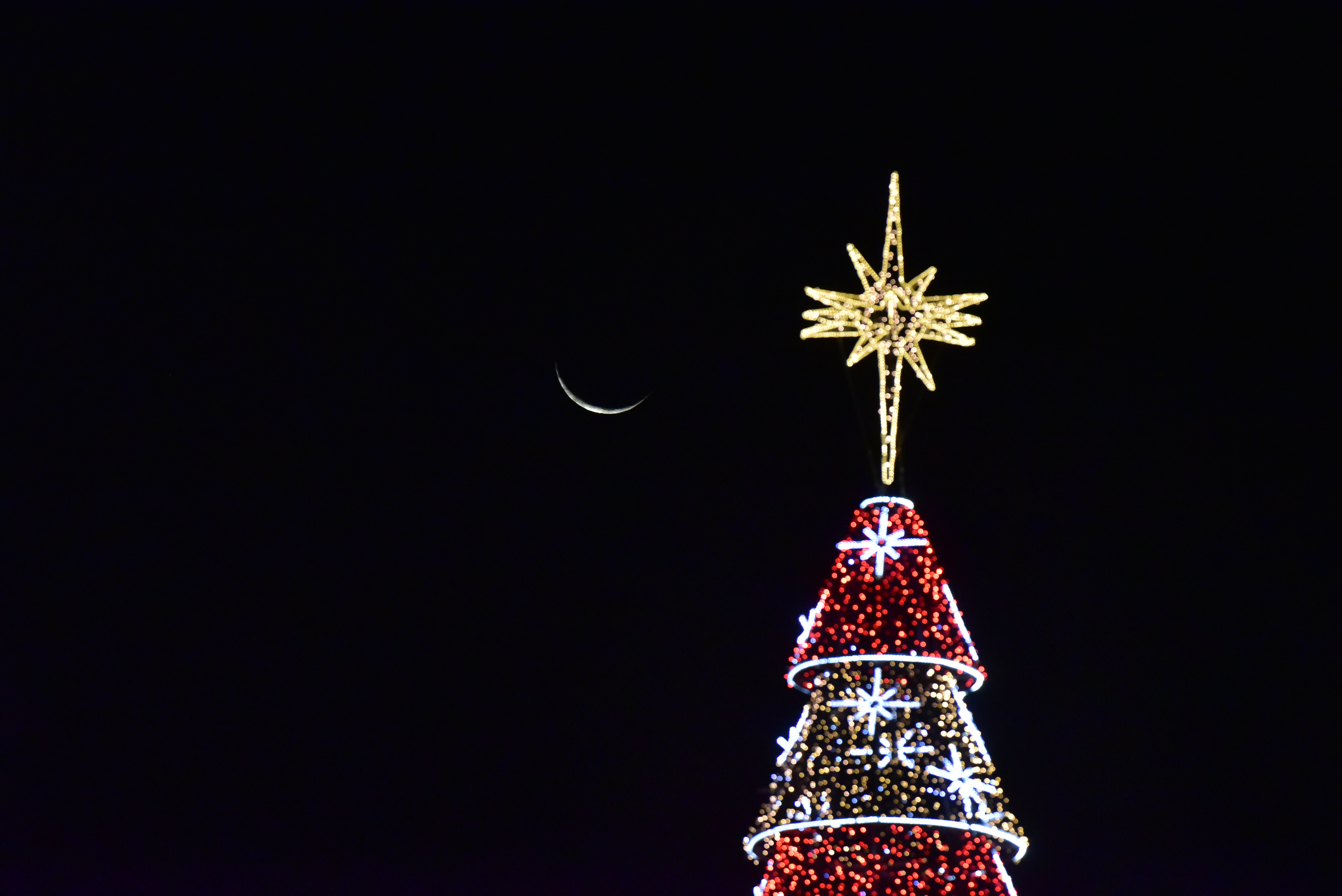 Data: 28/11/2019 - ES - Vitória - Montagem da árvore de natal na Praça do Papa, em Vitória - Editoria: Cidades - Foto: Fernando Madeira - GZ