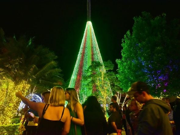 Abertura da decoração de Natal em domingos Martins  por Fernando Madeira 
