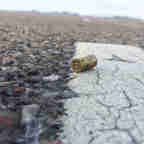 Imagem - Exemplo de Jardim Carapina na redução de crimes deve ser multiplicado no ES