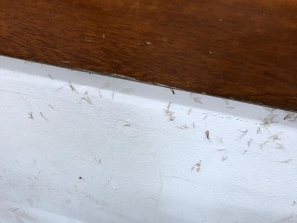 Prédio do curso de Engenharia Mecânica, no Centro Tecnológico da Ufes por A Gazeta | Internauta