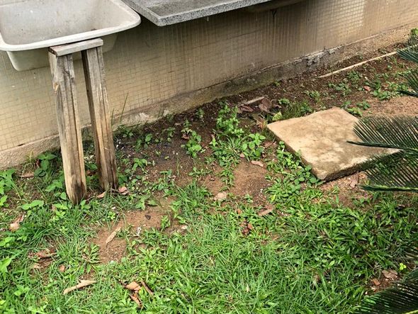 Prédio do curso de Engenharia Mecânica, no Centro Tecnológico da Ufes por A Gazeta | Internauta