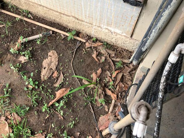 Prédio do curso de Engenharia Mecânica, no Centro Tecnológico da Ufes por A Gazeta | Internauta