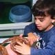 Imagem - Conheça a família capixaba que cria 23 cobras dentro de casa