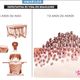 Imagem - Na Charge do Amarildo: Expectativa de vida do Brasileiro
