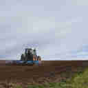 Imagem - Ministério prevê mercado global do agronegócio mais protecionista