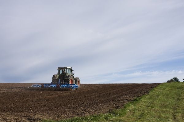 Agricultura usará cada vez mais máquinas
