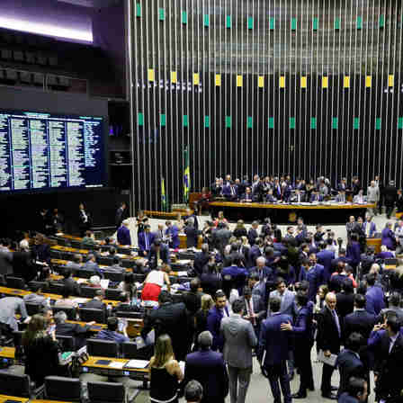 Imagem - Câmara aprova aumento de pena em casos de maus-tratos a cães e gatos