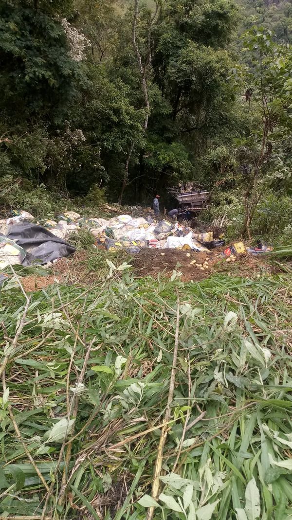 Grave acidente com caminhões interdita BR 262 por Redes Sociais