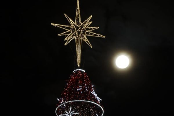 O significado do Dia de Reis, data em que a árvore de Natal é desmontada |  A Gazeta