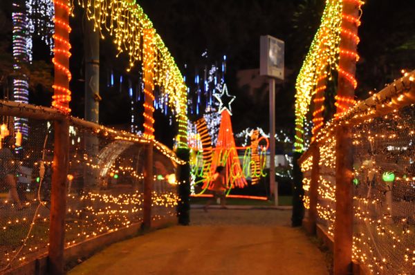 Decoração de Natal de Guaçuí faz sucesso no Caparaó por Leo Ola