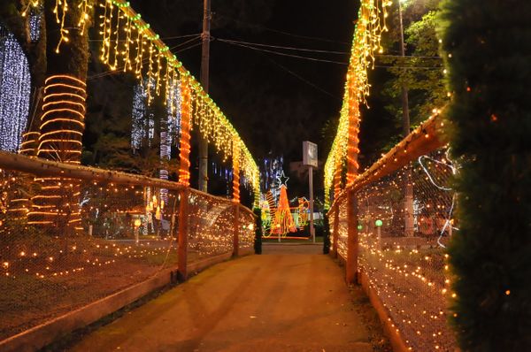 Decoração de Natal de Guaçuí faz sucesso no Caparaó. Crédito: Leo Ola
