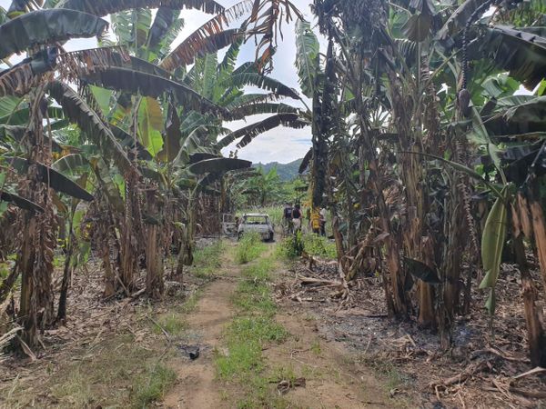Carro de motorista de aplicativo é queimado durante sequestro por Isaac Ribeiro