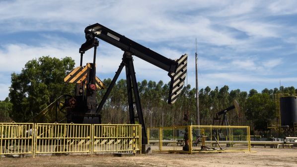 Há um setor no mar e outros dois com blocos em terra no Estado. Mais de 60 empresas estão inscritas para participar da sessão, desde grandes petroleiras globais até empresas menores, como as capixabas Imetame, EnP e Vipetro