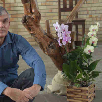 Imagem - Missa do Domingo de Ramos em Vitória será transmitida por A Gazeta