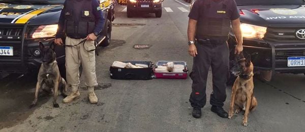 Polícia apreende mais de 30 kgs de maconha em ônibus na BR 101. Crédito: Divulgação/PRF