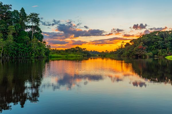 Reflexão de um pôr do sol junto a uma lagoa dentro da Bacia da Floresta Amazônica.
