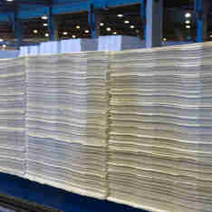 Imagem - Suzano tem melhor resultado trimestral desde a fusão com a Fibria