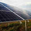 Imagem - Economia verde ganha espaço e começa a decolar no Espírito Santo