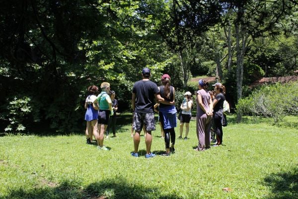 Grupo praticando Terapia Florestal em São Paulo por Divulgação/Leo Cabral