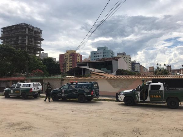 Animais resgatados de canil particular de Vila Velha que estavam sofrendo maus tratos por Divulgação