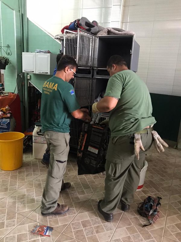 Animais resgatados de canil particular de Vila Velha que estavam sofrendo maus tratos por Divulgação